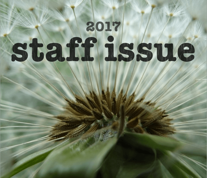 From the Editor’s Desk: The 2017 Staff Issue
